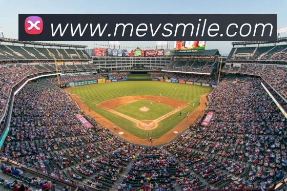 米乐m6发展历程